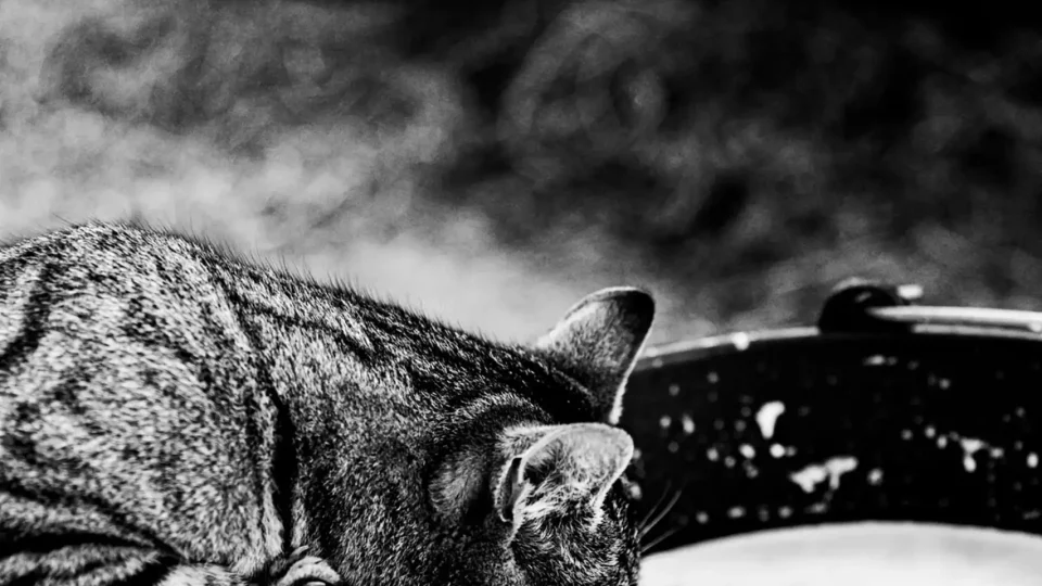 Marije de Boer fotografie73